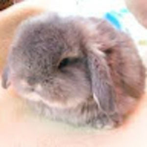 Meet your Posher, Cloe